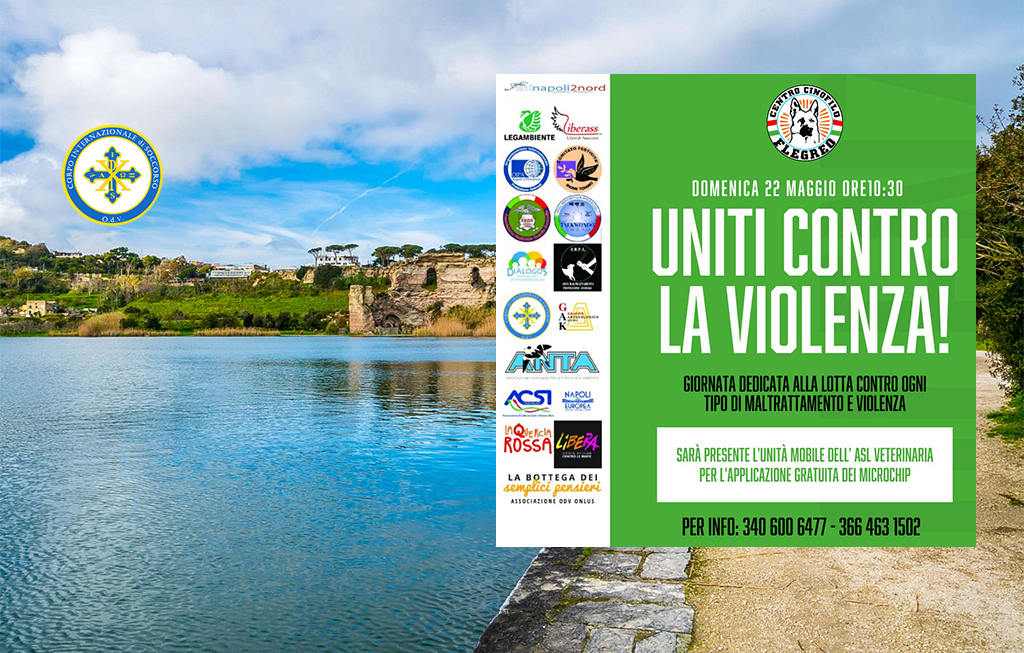 Uniti contro la Violenza